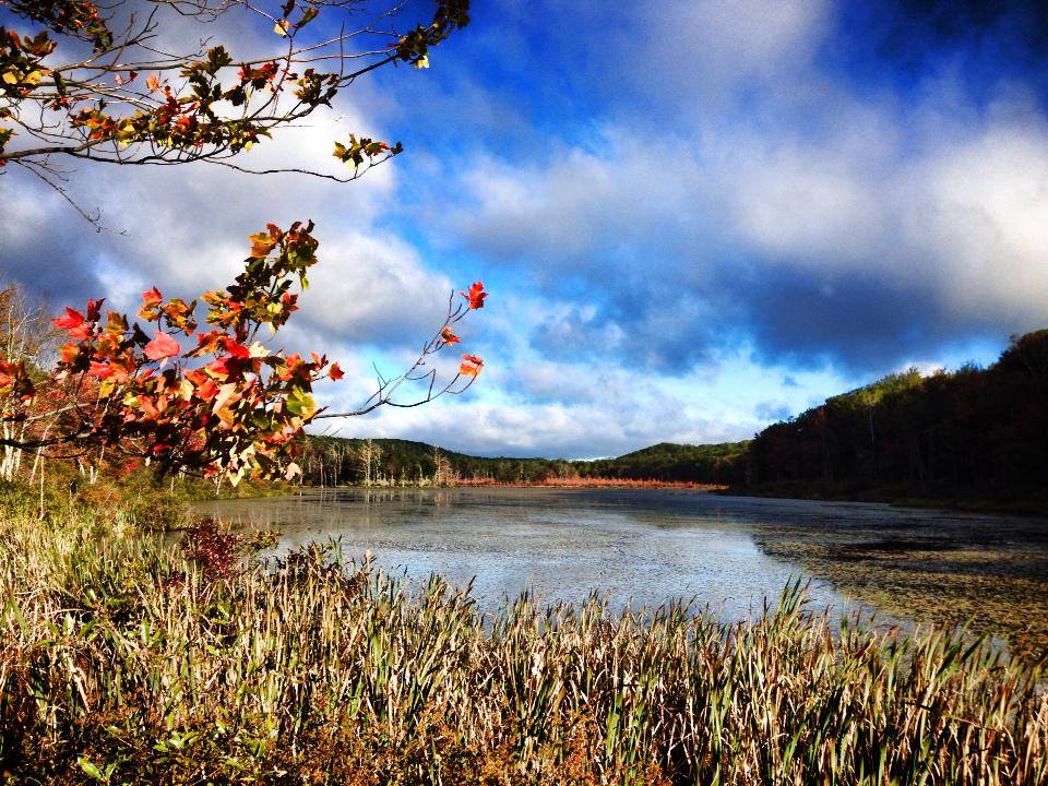 Negotiating Purchase of Lot 8