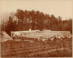 Greenhouses at Ventfort Hall (Morgan Manor Today)